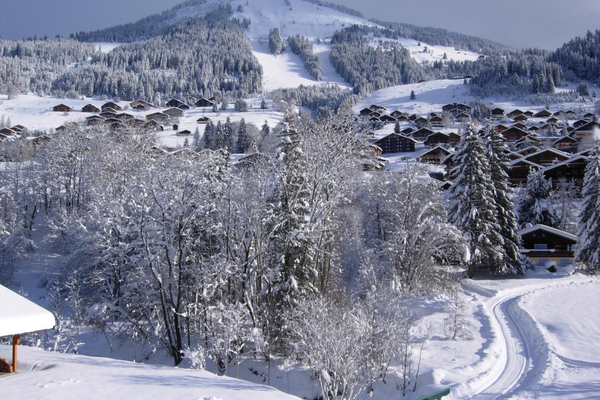 Au Bois De Lune Hotel Chatel