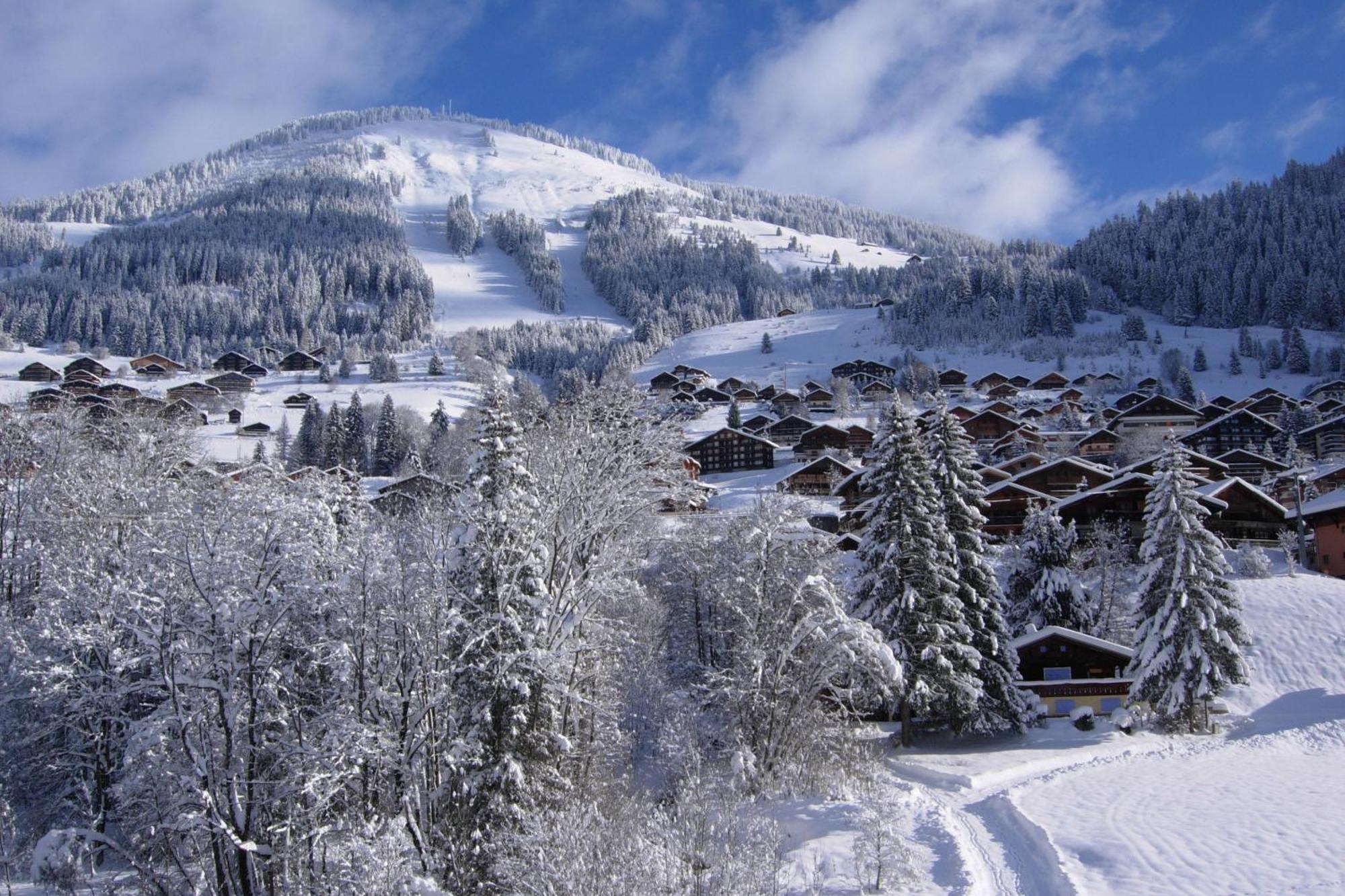 Au Bois De Lune Chatel